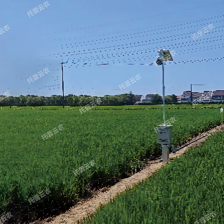 自動趕蛾智能統計桿 TP-GESB2.0