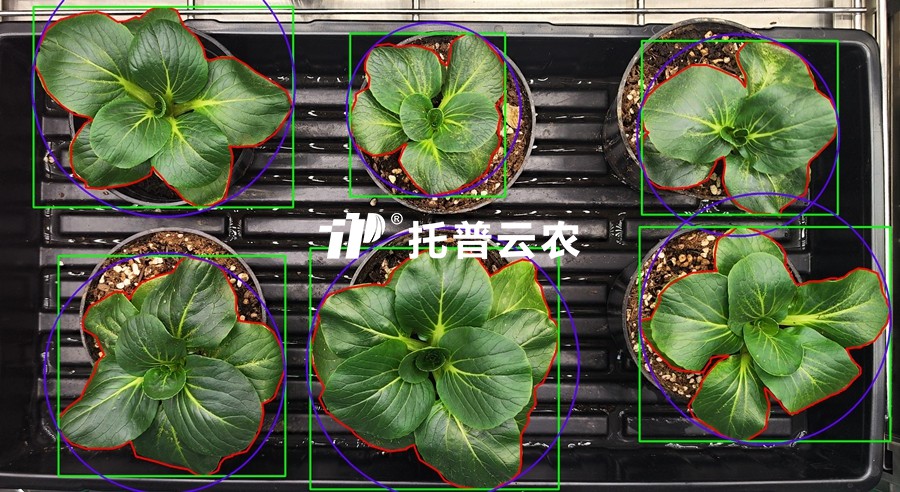 表型分析-環控型植物生長表型分析系統.jpg